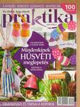 Praktika 2009. április