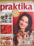 Praktika 2004. február