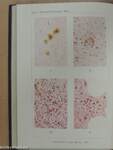 Pathologisch-histologische Bilder