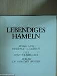 Lebendiges Hameln