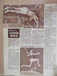 Képes Sport 1963. február 19.