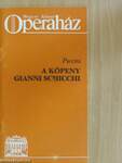 Puccini: A köpeny/Gianni Schicchi