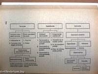 A szocializmus politikai gazdaságtana 1984/1985