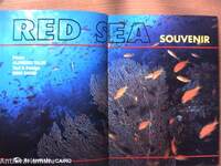 Red Sea Souvenir
