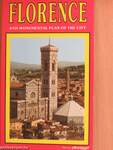 A new coloured artistic guide of Florence and surroundings