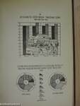 Csongrád megye fontosabb statisztikai adatai 1950-1955