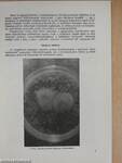 Az óriás amőba (Amoeba Proteus) szaporodásbiológiai vizsgálata