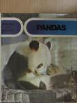 Finding Out About Pandas