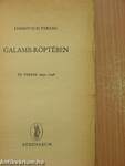 Galamb-röptében