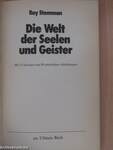 Die Welt der Seelen und Geister