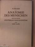 Anatomie des Menschen III.