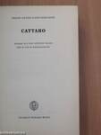 Cattaro