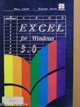 Excel 3.0 for Windows