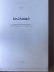 Országgyűlési beszámoló az Országos Rádió és Televízió Testület és az NMHH Médiatanács 2010. évi tevékenységéről