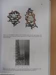 Structural Biology and Functional Genomics