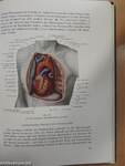 Topographische Anatomie