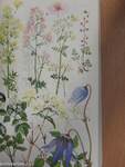 Pareys Blumenbuch