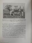 Az állattenyésztés törzskönyvezési évkönyvei 1959/60