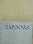 Kaposvár (minikönyv)