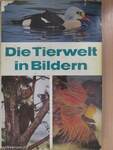 Die Tierwelt in Bildern