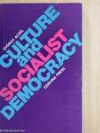 Culture and socialist democracy