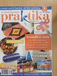 Praktika 2013. szeptember