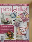 Praktika 2016. május