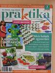 Praktika 2013. július