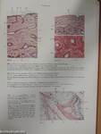 Atlas der normalen Histologie und mikroskopischen Anatomie des Menschen