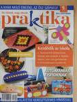 Praktika 2013. szeptember