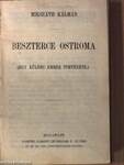 Beszterce ostroma/A demokraták