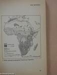 A Short History of Africa