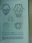 Acarina of the Family Cheyletidae of the World