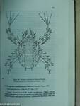 Acarina of the Family Cheyletidae of the World