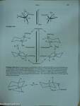 Study Guide/Solutions Manual for Jones's Organic Chemistry