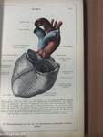 Anatomischer Atlas für Studierende und Ärzte I-VI.