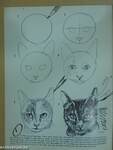 How to draw cats