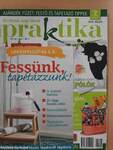 Praktika 2014. július