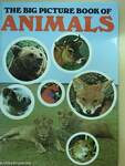The Big Picture Book of Animals