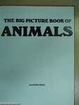 The Big Picture Book of Animals