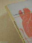 Tudnivalók a szívbetegségekről