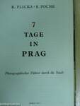 7 Tage in Prag