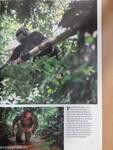 National Geographic March 1992