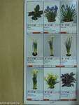 Potplanten/Pot Plants/Topfpflanzen/Plantes en pot/Piante da vaso/Planta en particular 1997/98