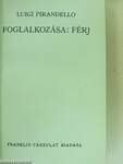 Foglalkozása: férj