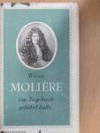 Wenn Moliére ein Tagebuch geführt hätte...