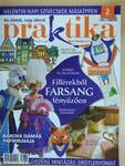 Praktika 2010. február