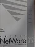 Novell NetWare 3.12 - Print Server