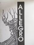 Allegro 1995/1.