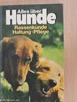 Alls über Hunde